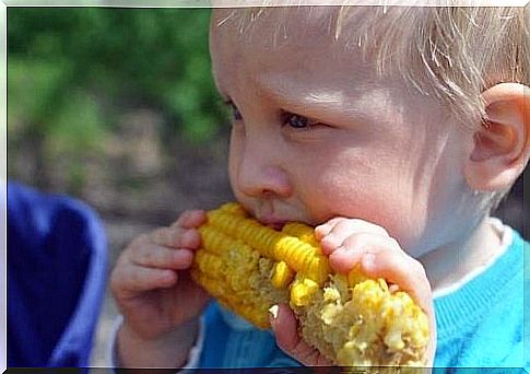 feed the babies