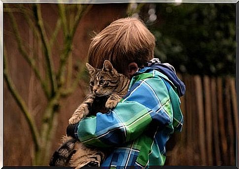 boy hugs the cat 