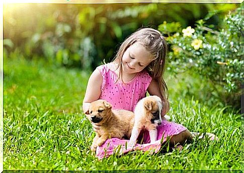 girl plays with puppies 