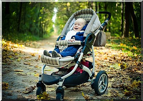 Baby Carriage: Advice and Considerations